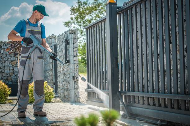 Solar Panel Cleaning in River Ridge, LA