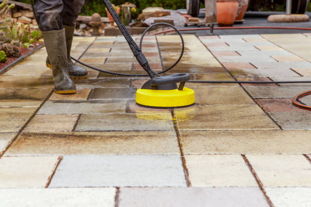 Best House Exterior Washing  in River Ridge, LA
